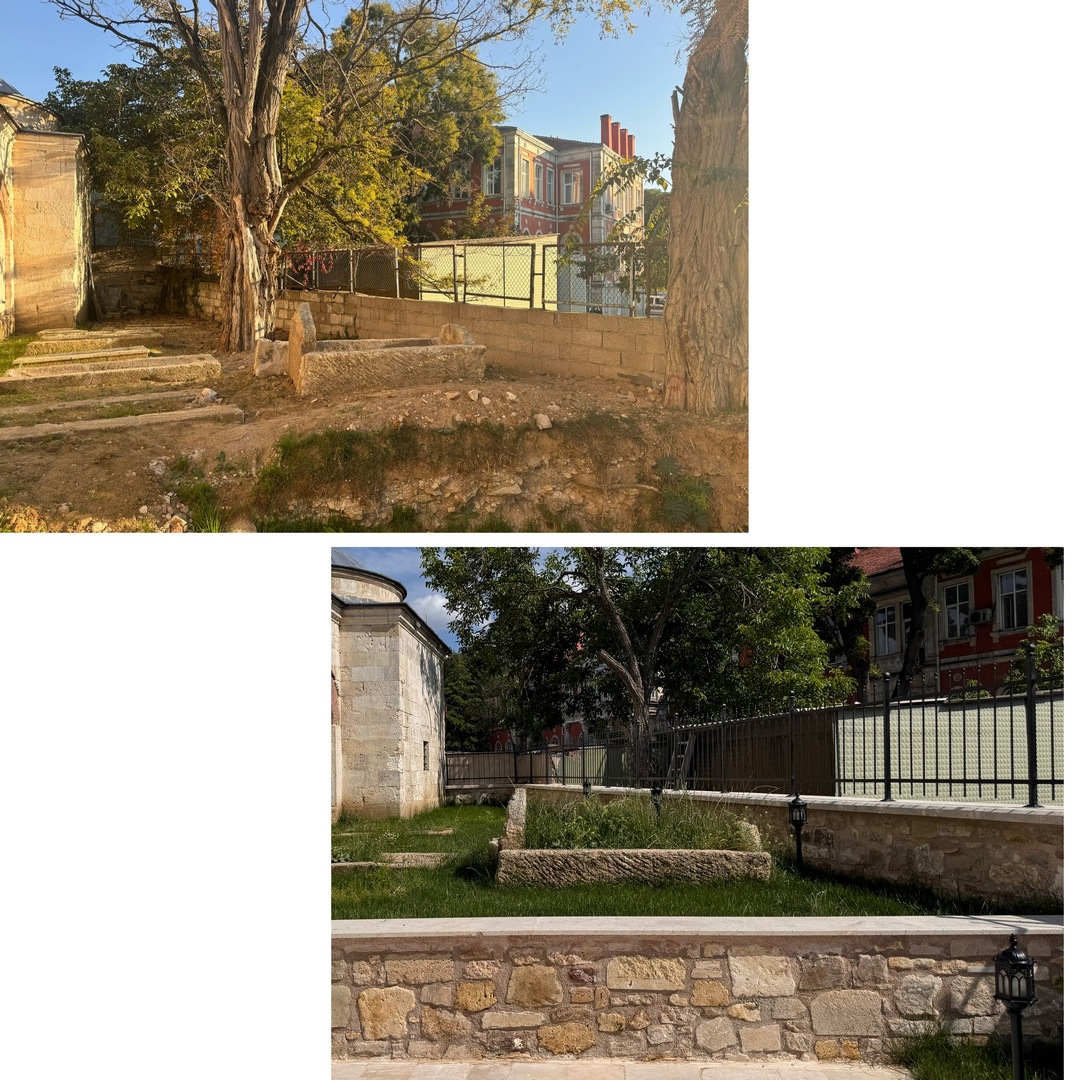 Gallery Image 11